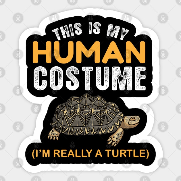 This is my humain costume i'm really a turtle Sticker by madani04